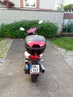 KentoyaFever - 2