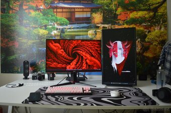 Dell 24 1080P - 2