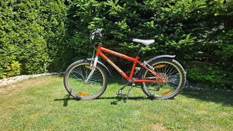 Author energy 20" - 2