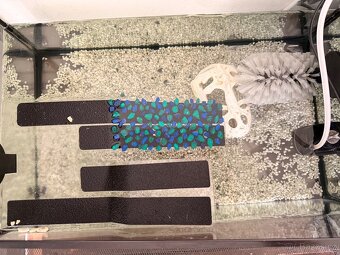 Terárium na prodej - 2