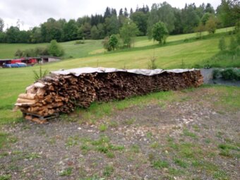 Palivové dřevo - 2