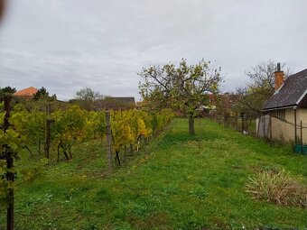 zahrada k pronájmu - skvělá lokalita, rekreace, vinohrad - 2