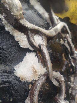 Řetězy lkt 16.9-30 - 2