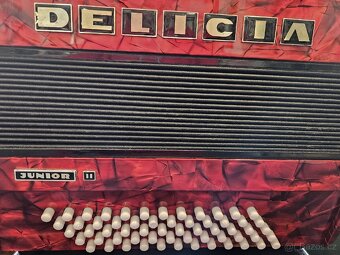 Akordeon Delicia Junior - 2