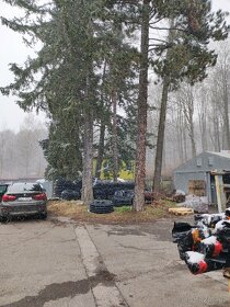 Daruji dřevo 5ks vzrostlých stromů za pokácení. - 2