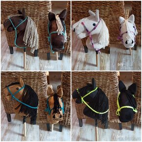 Hobby horse - 2