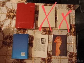 Mix knih prodej za minimální ceny 100Kč kus - 2