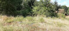 Pozemek - 2