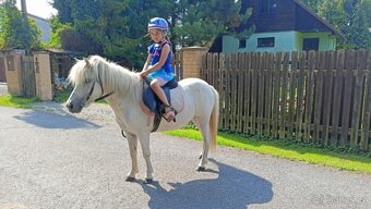 Pony kobylka - 2