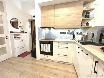 Pronájem zrekonstruovaného bytu 2+1, 67m2, se zahradou, Dr.  - 2