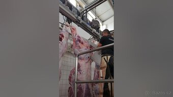 od ihned pomocné práce muži ženy v Rakousku - 2