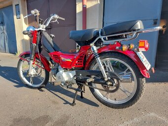 Betka (Champ) čerstvá STK - 2
