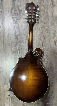 Mandolína model F-5 - 2