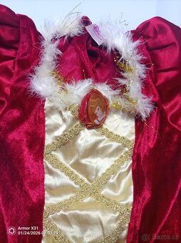 Karnevalový kostým - 2