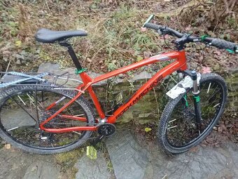 Rock Machine Manhatan - 2