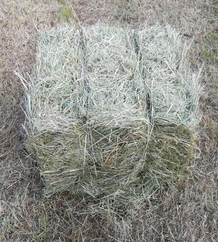 Seno - malé hranaté balíky - 2