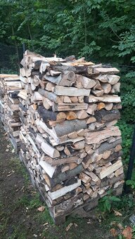 Palivové dřevo tvrdé - 2