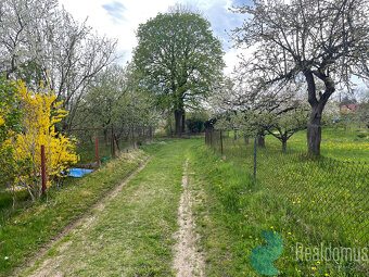 Prodej, Stavební pozemek, 3 636 m2 + 4157 m2 Les, Jílovice u - 2