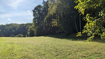 Pronájem louky 5000 m2 - 2