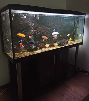 Velký akvarijní set DIVERSA dálkové ovládání - 2