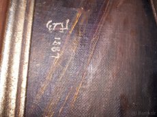 Obraz  na plátně - 2