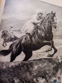 Kniha DŽAVACHOVSKÉ HNÍZDO L.A.ČARSKÁ rok vyd 1919, 219 Kč (9 - 2