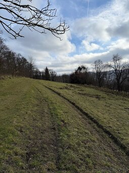 Prodej louky 1388 m² - 2