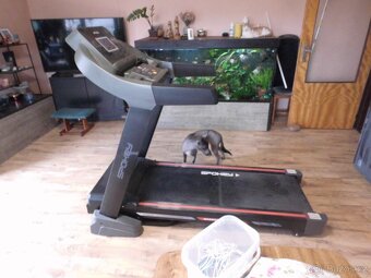 Běžecký pás Magnum Spokey - 2