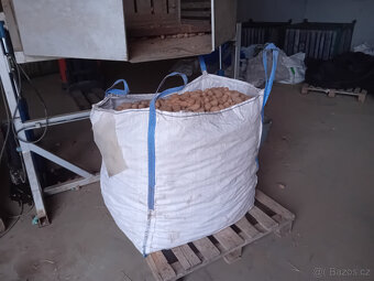 Sadbové brambory - 2