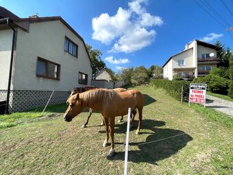 PRODEJ PZ PAŠOVICE - 2