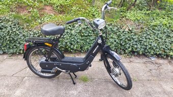 Piaggio Ciao - 2