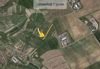 Prodej pole v k.ú. Dambořice - 2