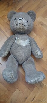 Starý medvěd - 2