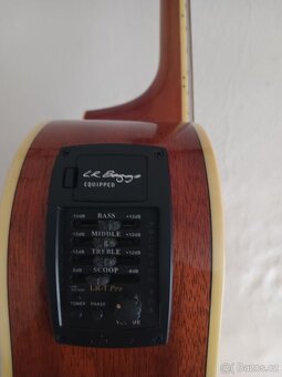 Elektroakustická kytara Crafter - 2