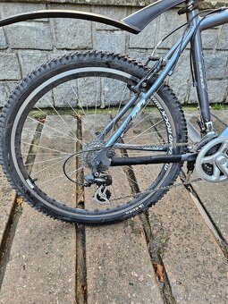 Kolo Maxbike - 2