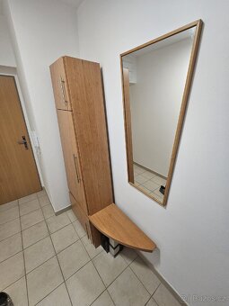 Botnik satni skrin za odvoz - 2