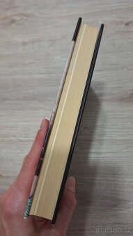 Jean Renoir: Můj život a mé filmy - 2