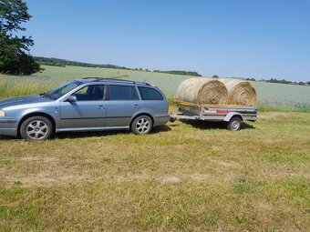 Seno ze stodoly - 120 cm - 2