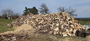 Dřevo - bříza - 2