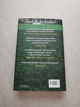 Prolhané městečko - Diane Chamberlain - 2