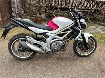 Suzuki Gladius 650 - 2