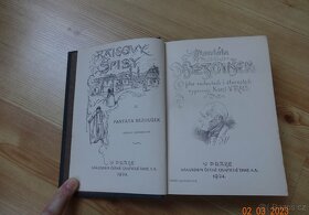 Kniha Raisovy spisy II. Pantáta Bezoušek r. 1924 - 2