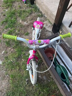 Divci kolo 16’ - 2