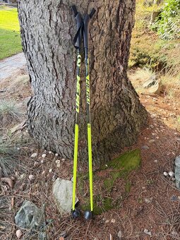 Hůlky na běžky junior vel 110 - 2