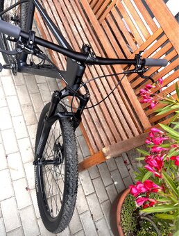 PELLS DUKE PRO - XL full carbon - 2