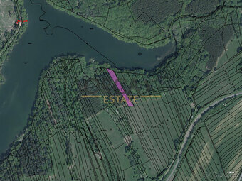 Prodej lesních pozemků v k.ú. Pitín o výměře 3127 m2 - 2