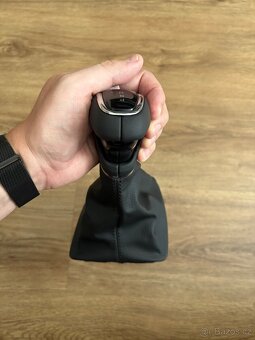 Radicka DSG - 2