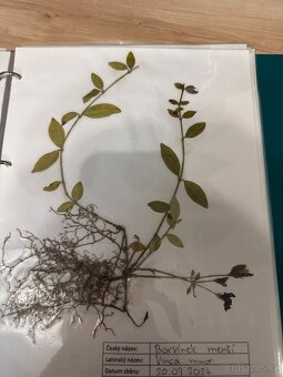 Herbář - 2