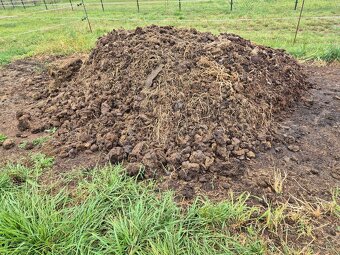 Daruji koňský hnůj - 2