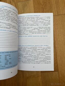 Opakujeme češtinu v 8. ročníku (2. díl) - 2